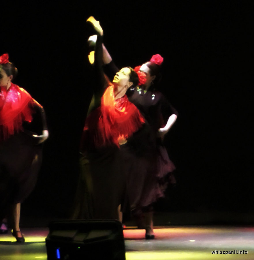 flamenco spain.54